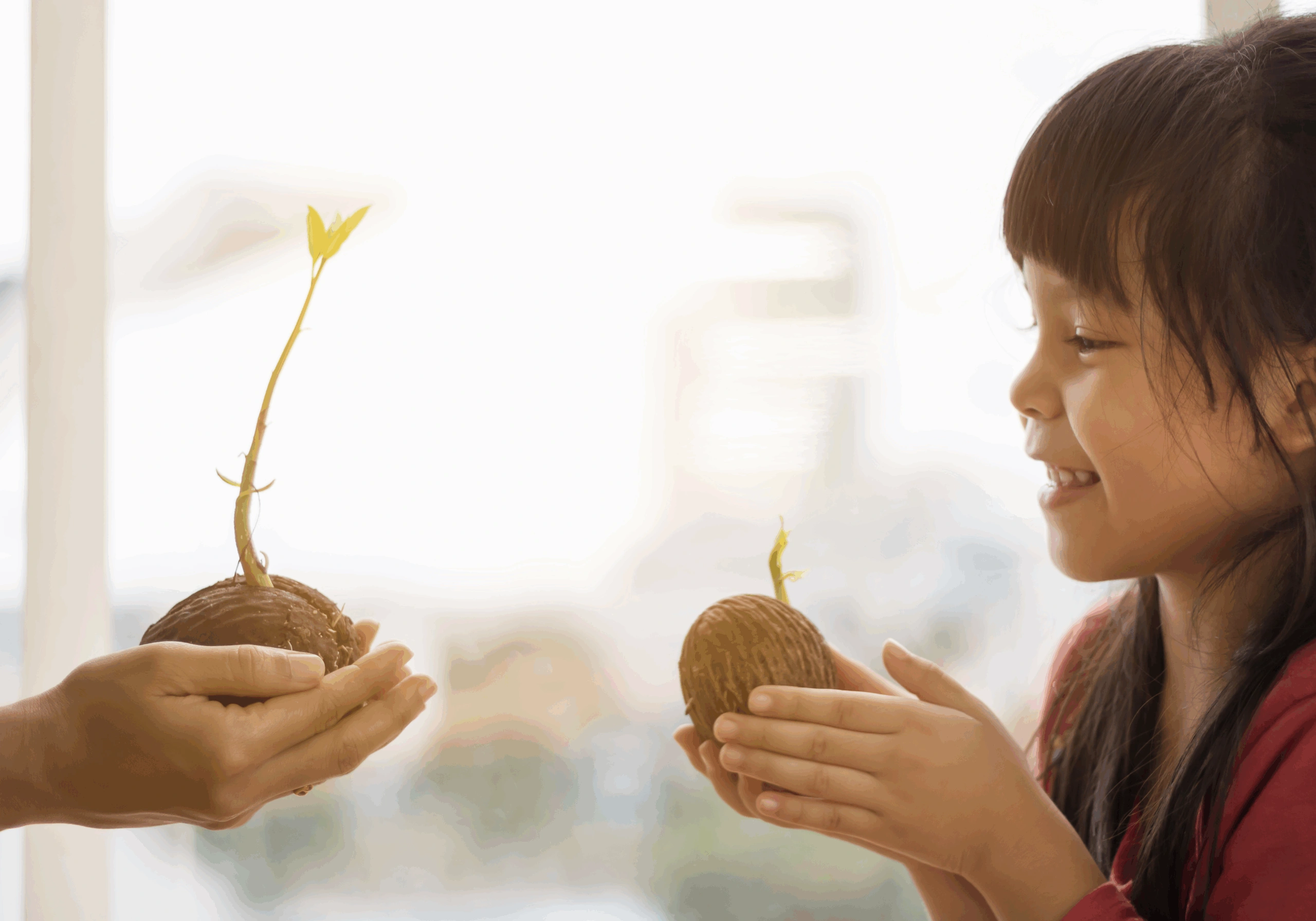Een kind glimlacht terwijl het een kiemende noot vasthoudt en naar een volwassene kijkt die een vergelijkbare noot toont.
