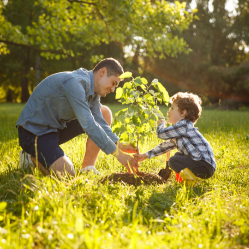 Vader en zoon planten samen een boompje in een zonnig, groen veld voor een leefbare wereld.